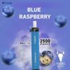 BLUE RASPBERRY BY VUDU DISPOSABLE 2500 PUFFS