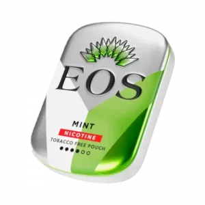 EOS MINT MEDIUM POUCH