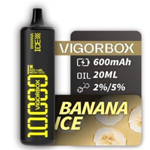 VIGORBOX DISPOSABLE VAPE