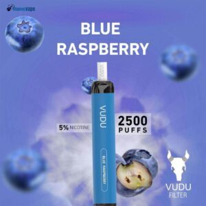 BLUE RASPBERRY BY VUDU DISPOSABLE 2500 PUFFS